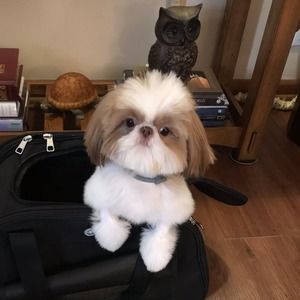 Meet your Posher, Rebecca